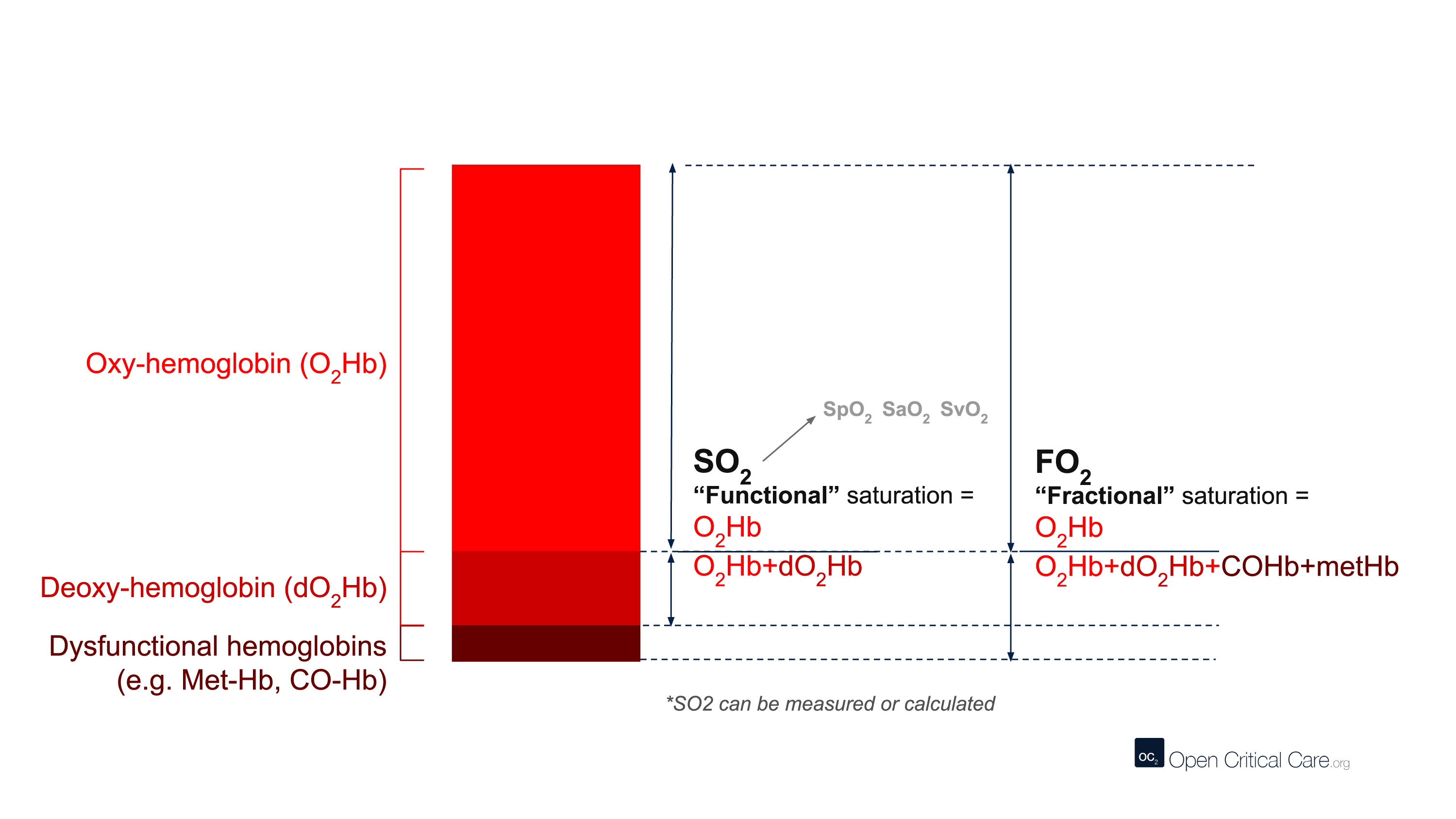 illustration of functional and fractional oxygen saturation showing oxyhemoglobin, deoxyhemoglobin, met-hemoglobin and carboxyhemoglobin